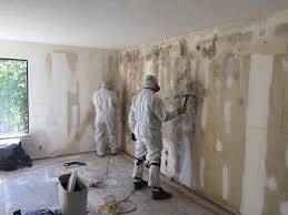 Professional Mold Removal & Remediation in Westmont, NJ